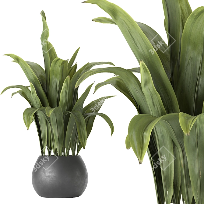 Exquisite Indoor Leaf Paradise for Your Collection 3D model image 5