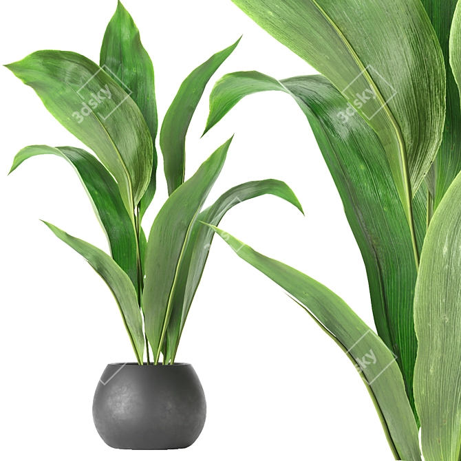 Exquisite Indoor Leaf Paradise for Your Collection 3D model image 6