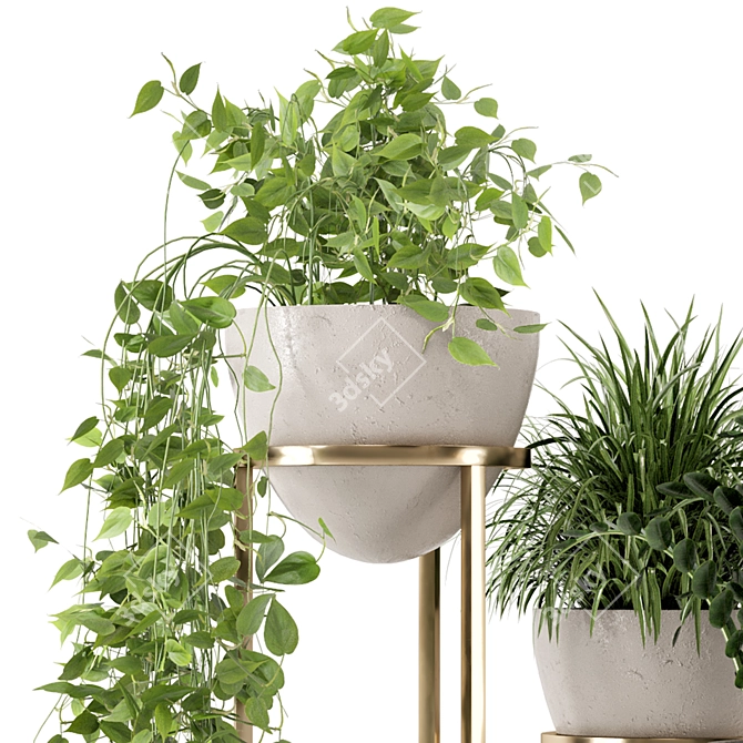 Rusty Concrete Pot Indoor Plants 3D model image 6