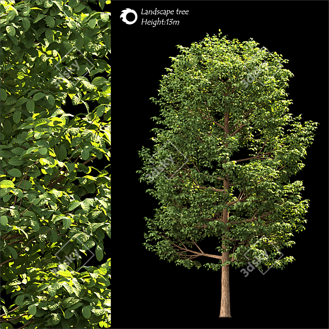  Majestic Land Scape Tree 3D model image 1