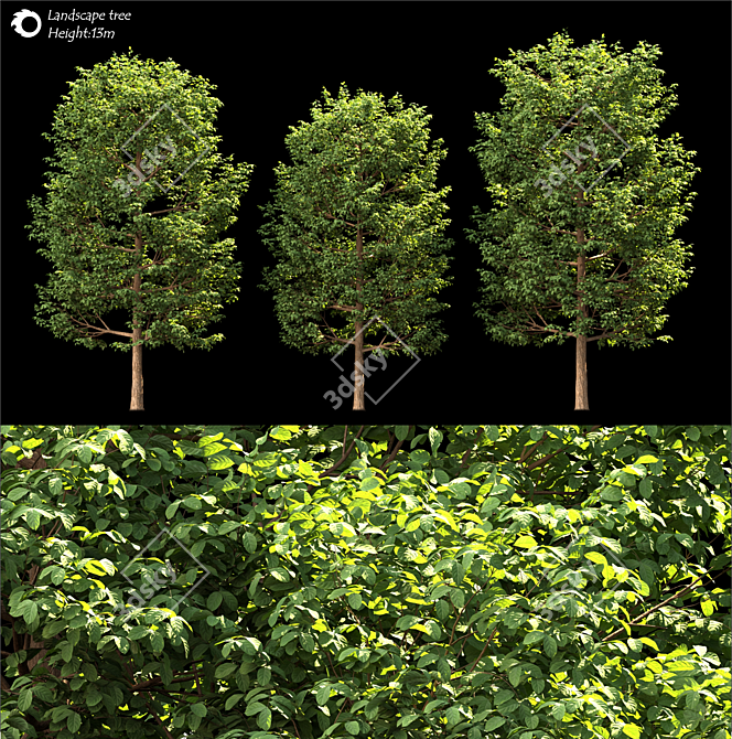  Majestic Land Scape Tree 3D model image 2