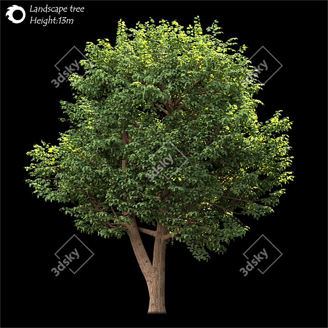  Majestic Land Scape Tree 3D model image 1