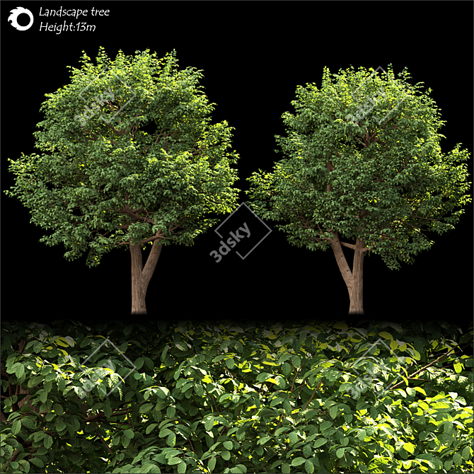  Majestic Land Scape Tree 3D model image 2