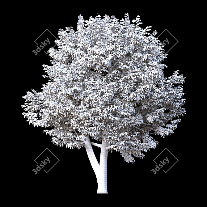  Majestic Land Scape Tree 3D model image 3