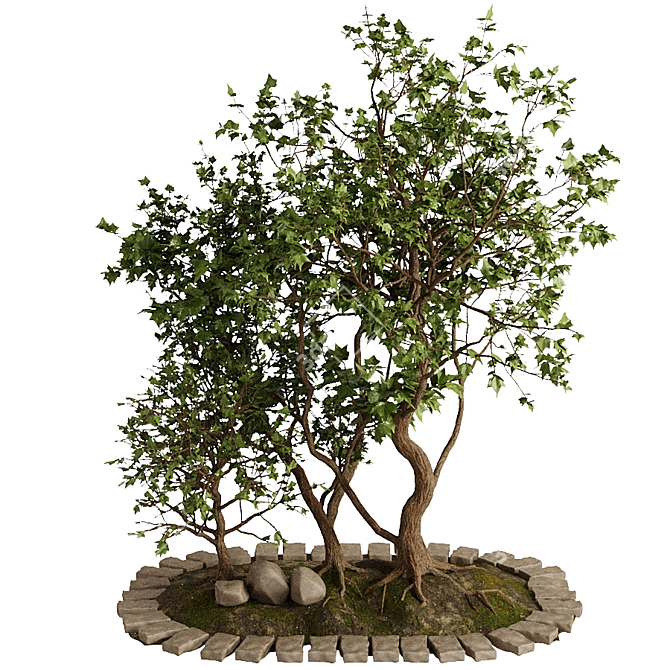 Lush Greenery Outdoor Plant Set 3D model image 2