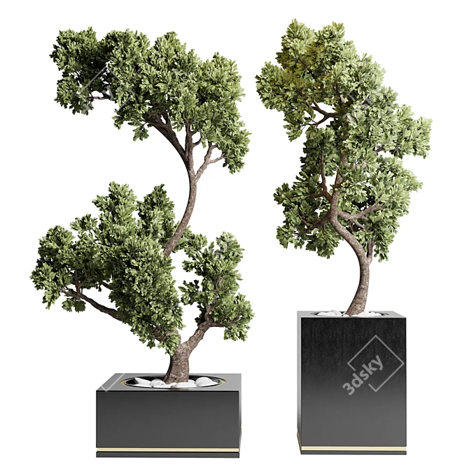 Concrete Bonsai Tree Vase: Indoor Outdoor Plant 3D model image 1