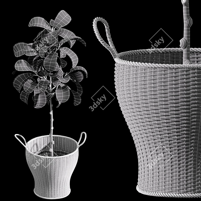 Stylish 2m Indoor Fiddle Leaf Fig 3D model image 5