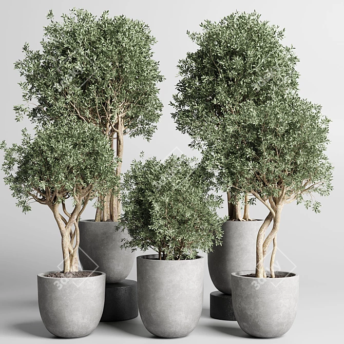 Concrete Dirt Vase Pot Tree 3D model image 1