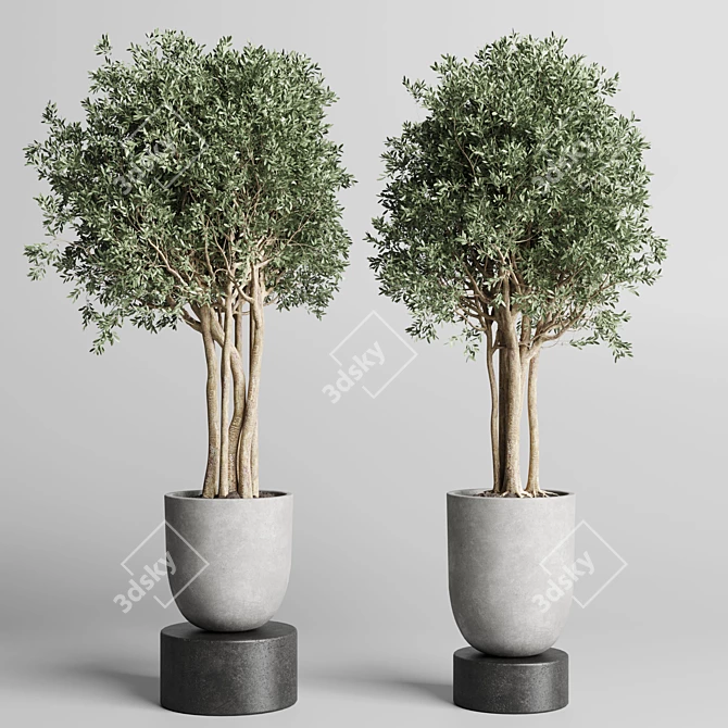 Concrete Dirt Vase Pot Tree 3D model image 2