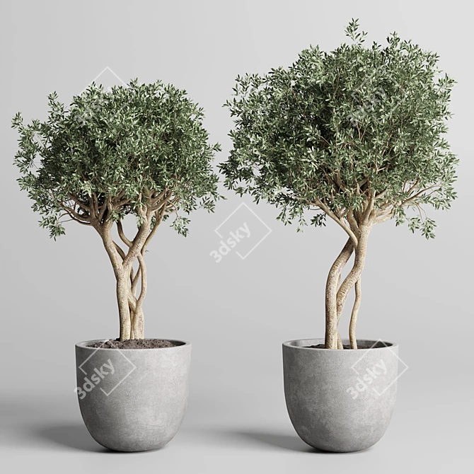 Concrete Dirt Vase Pot Tree 3D model image 3