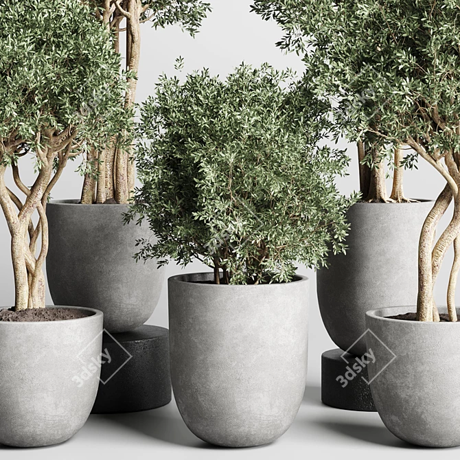 Concrete Dirt Vase Pot Tree 3D model image 4