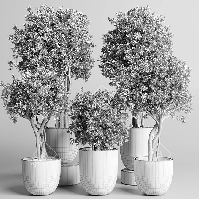 Concrete Dirt Vase Pot Tree 3D model image 5
