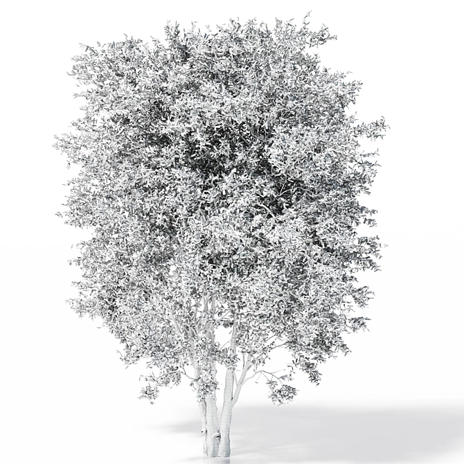 Polys: 1,011,193 - Towering 15m Beech Tree 3D model image 5