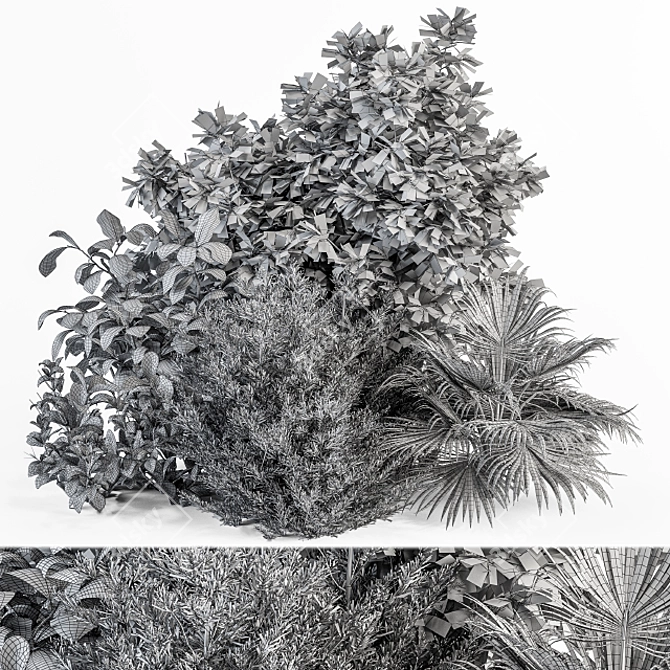 Exotic Bush Collection: Tropical & Box Tree - Set 52 3D model image 5