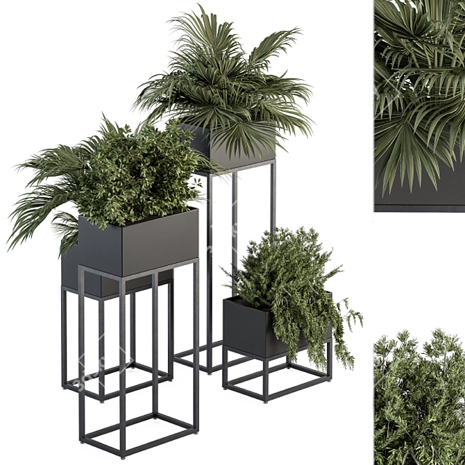 326 Indoor Plant Set - Black Box 3D model image 2