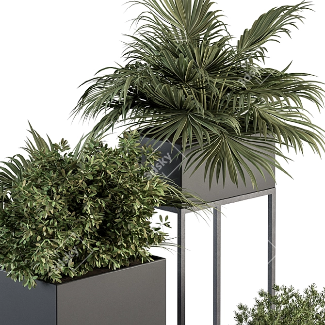 326 Indoor Plant Set - Black Box 3D model image 3