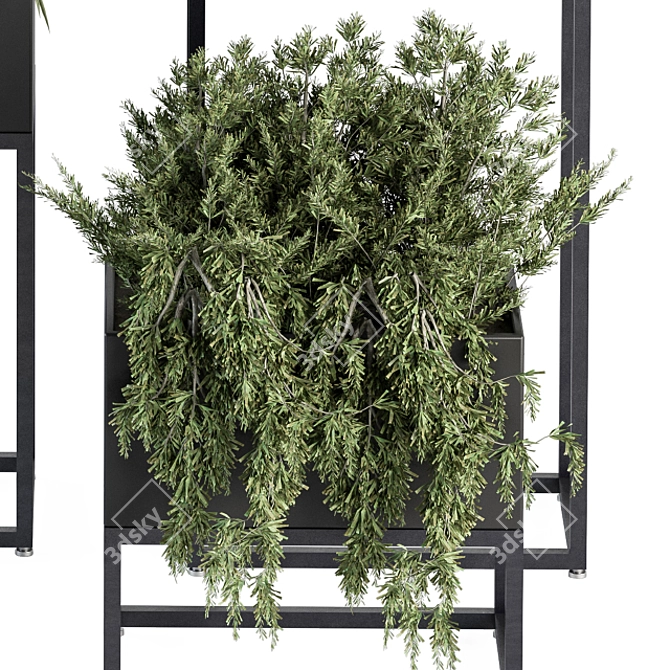 326 Indoor Plant Set - Black Box 3D model image 4