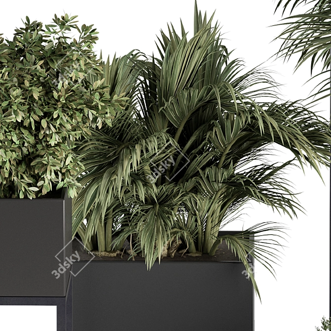 326 Indoor Plant Set - Black Box 3D model image 5