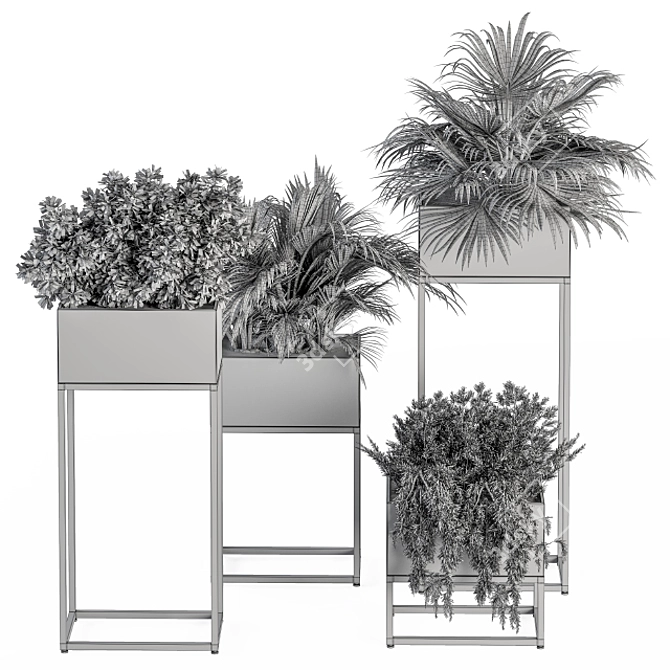 326 Indoor Plant Set - Black Box 3D model image 6