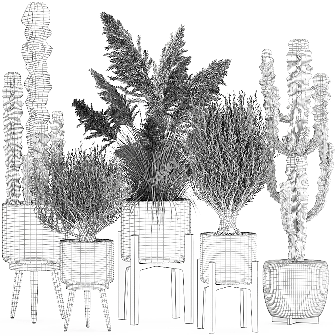 Indoor and Outdoor Plant Collection 3D model image 7