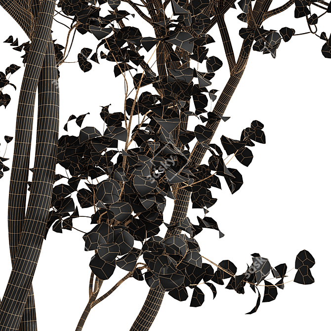 Saccharinum Tree Pack: Spring-Summer-Fall 3D model image 7