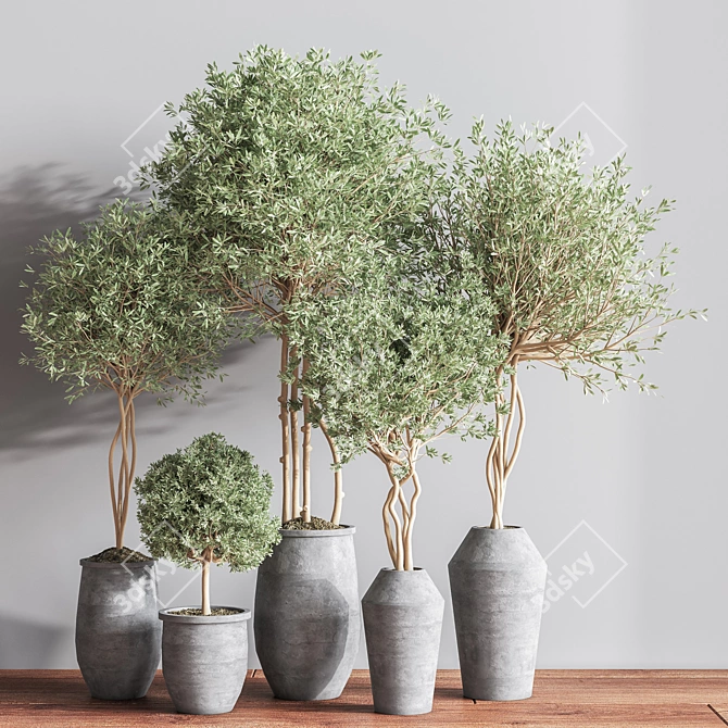 Elegant Indoor Set Plant 3D model image 2