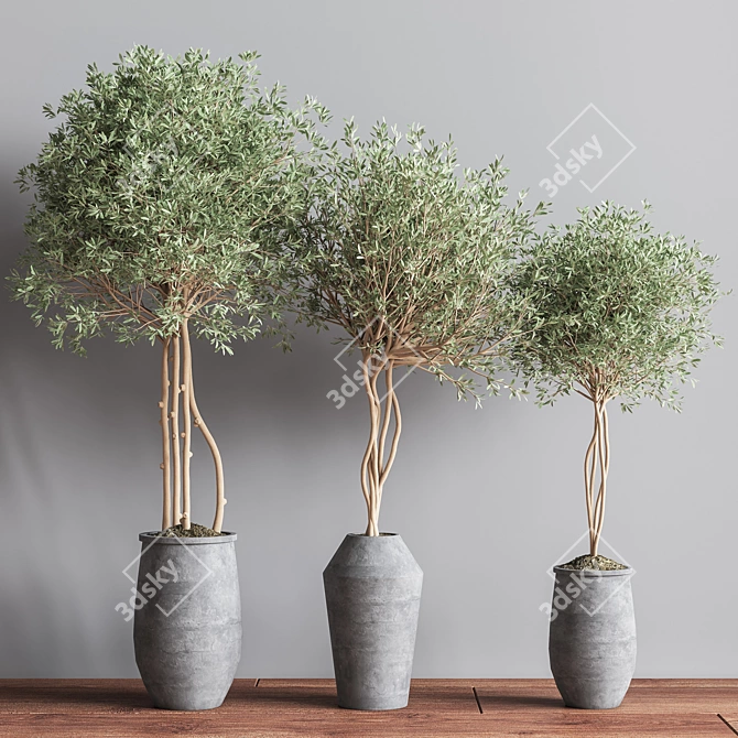 Elegant Indoor Set Plant 3D model image 3