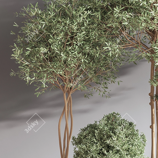 Elegant Indoor Set Plant 3D model image 6