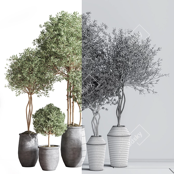 Elegant Indoor Set Plant 3D model image 7