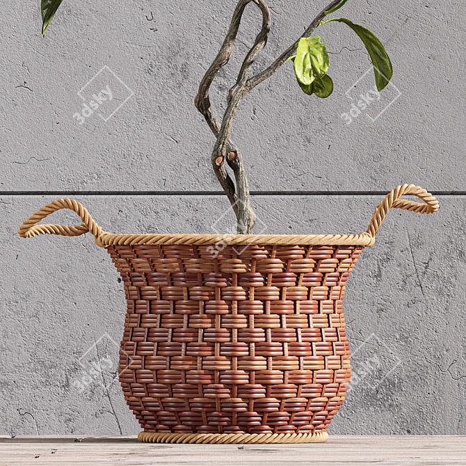 Premium Indoor Fiddle Leaf Fig - 3D Plant Model 3D model image 3