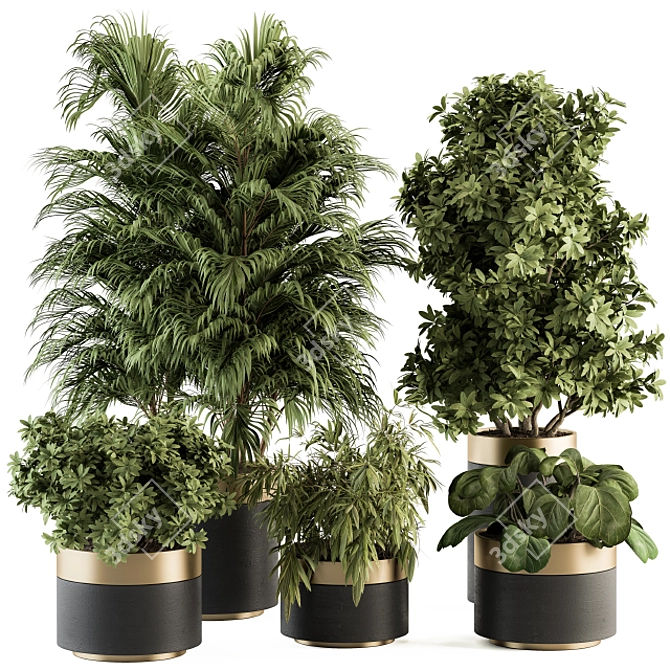 Modern Indoor Plant Set 3D model image 1