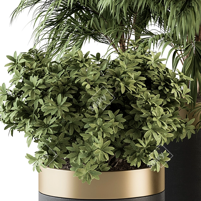 Modern Indoor Plant Set 3D model image 2