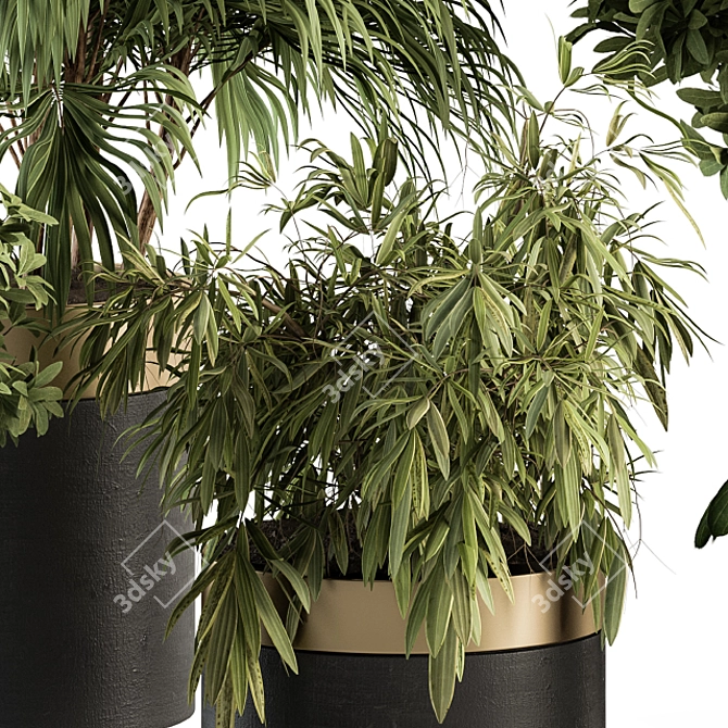 Modern Indoor Plant Set 3D model image 3