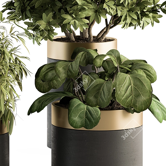 Modern Indoor Plant Set 3D model image 4