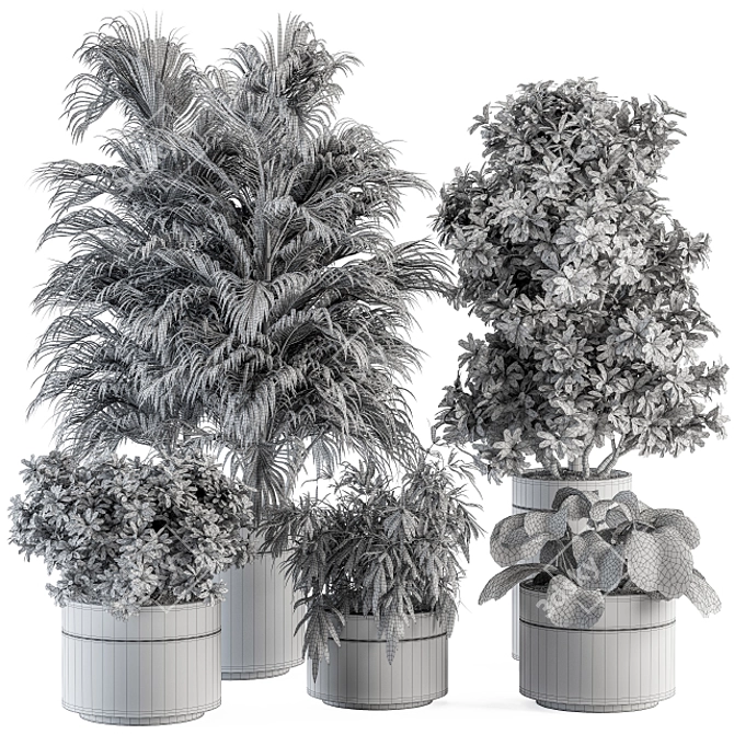 Modern Indoor Plant Set 3D model image 7