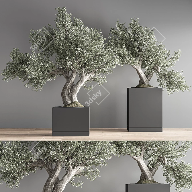 Indoor Bonsai Set: Zen Collection 3D model image 1