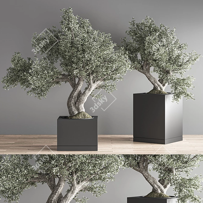 Indoor Bonsai Set: Zen Collection 3D model image 2