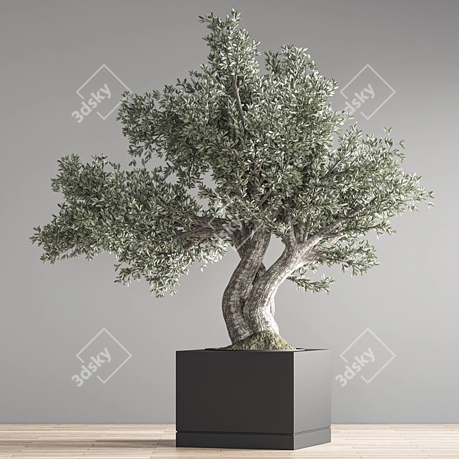 Indoor Bonsai Set: Zen Collection 3D model image 3