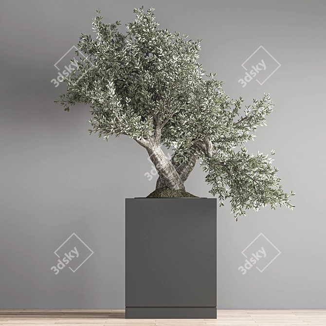 Indoor Bonsai Set: Zen Collection 3D model image 4