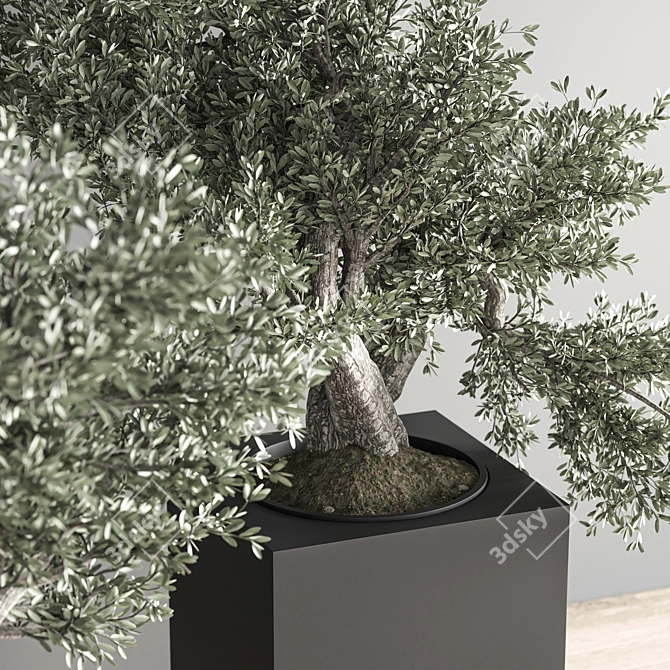 Indoor Bonsai Set: Zen Collection 3D model image 5