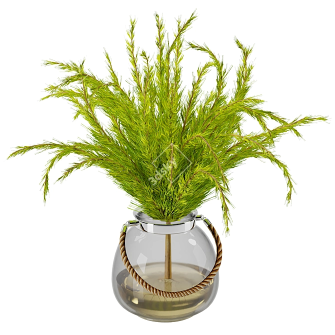 Stylish Indoor Plant - 2016 3D model image 1