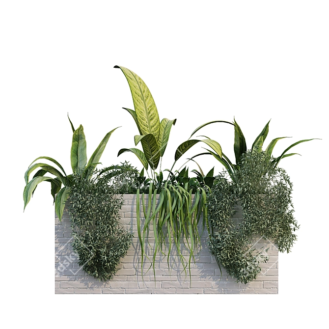 Exquisite Plant Box Set 230 3D model image 4