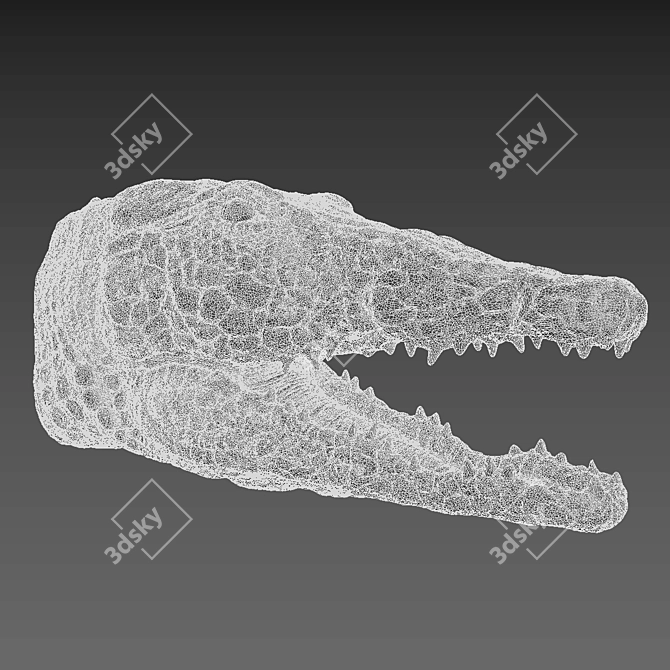 Porcelain Crocodile Wall Décor 3D model image 4
