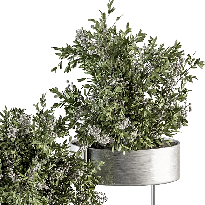 Modern Silver Box Indoor Plant Set 3D model image 2