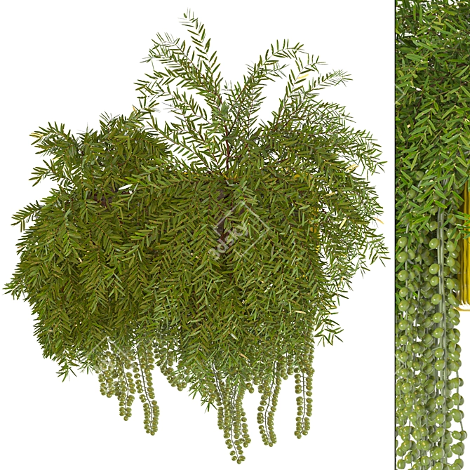 Sunny Garden Box: Outdoor Plant Vol 01 3D model image 2
