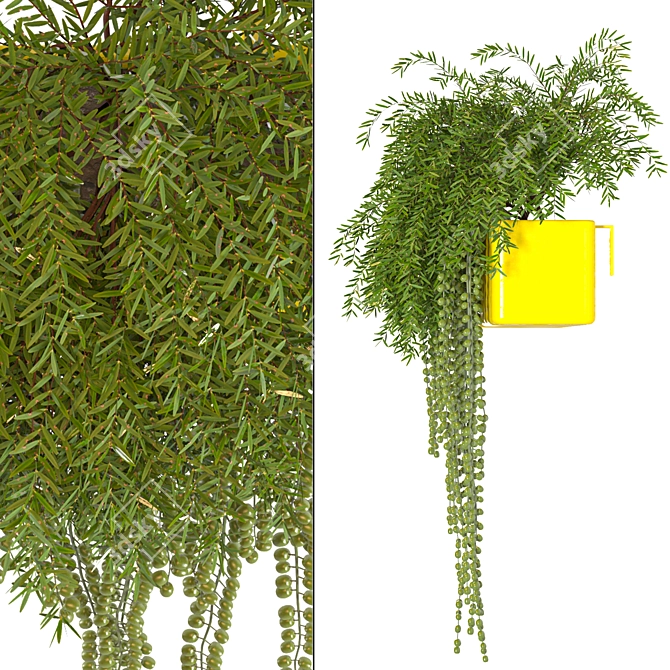 Sunny Garden Box: Outdoor Plant Vol 01 3D model image 3