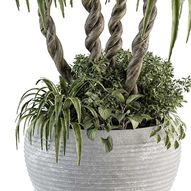 Fresh Greens: Outdoor Plant Set 3D model image 2