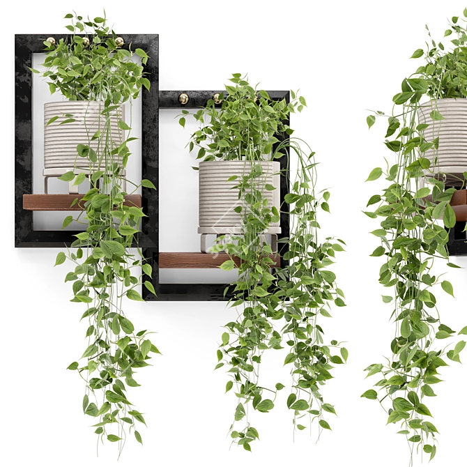 Rustic Concrete Pot with Indoor Hanging Plants Set 3D model image 2