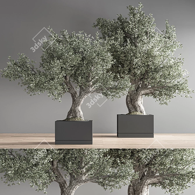 28-Piece Indoor Bonsai Plant Set 3D model image 1