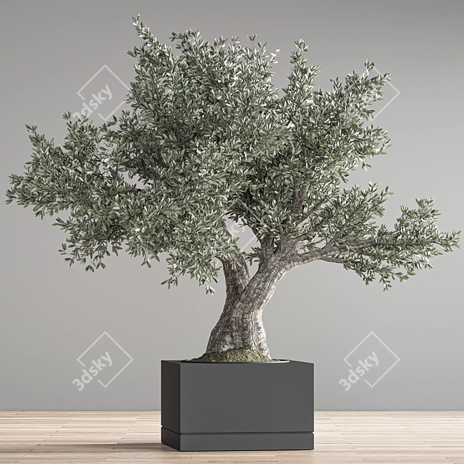 28-Piece Indoor Bonsai Plant Set 3D model image 3